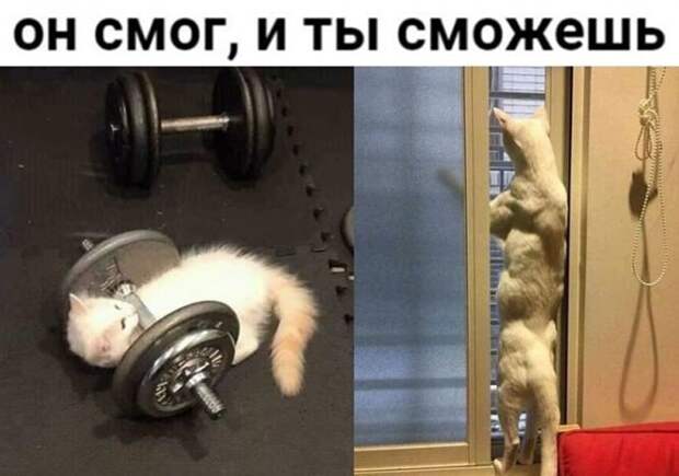 Он смог Он смог