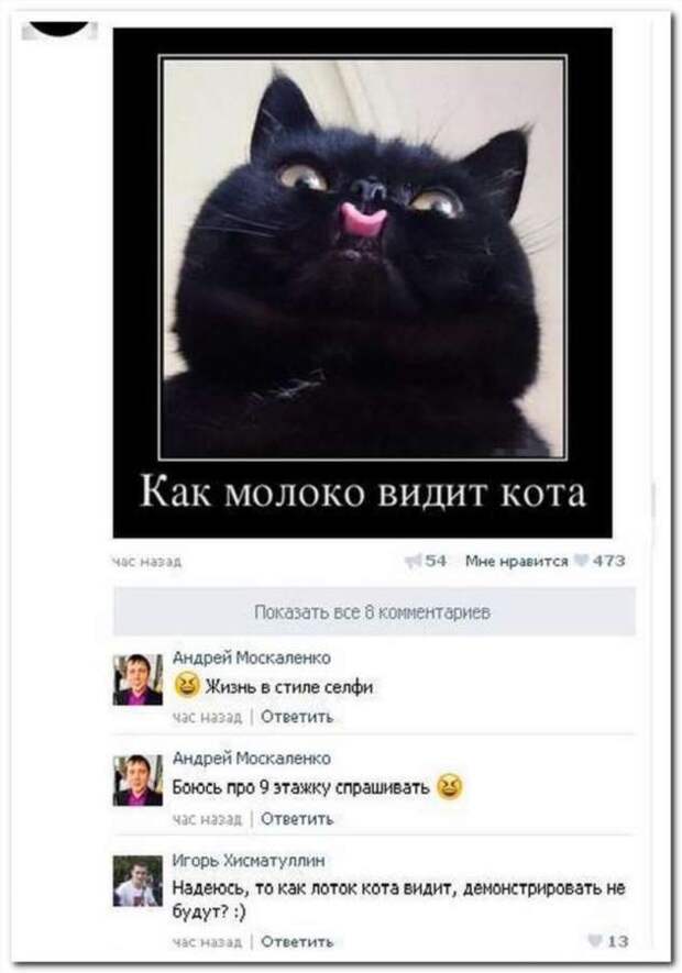 Смешные комментарии. Подборка chert-poberi-chert-poberi-56500606042020-4 картинка chert-poberi-56500606042020-4