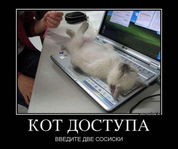 Новый выпуск 534: Классные и улётные демотиваторы (26 фото) Новый выпуск 534: Классные и улётные демотиваторы (26 фото)