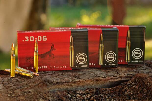 Как слово наше отзовётся? Оружейный гуру и выбор патрона