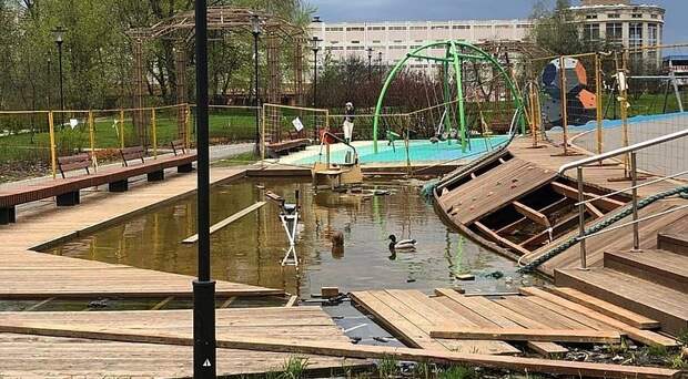 В Куркине в песочнице поселились утки