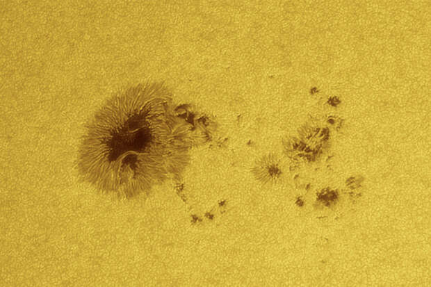 ИКИ РАН: семь групп пятен образовались на обращенной к Земле стороне Солнца