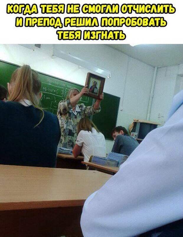 Свежие фотомемы на Бугаге (24 шт)