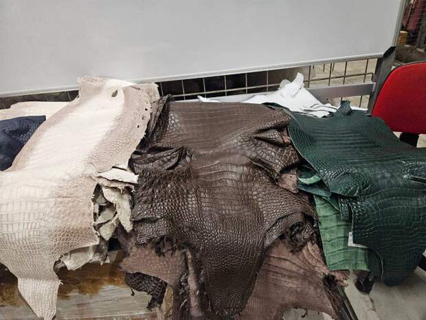 Таможенники обнаружили 55 шкур крокодилов в багаже пассажира в российском аэропорту