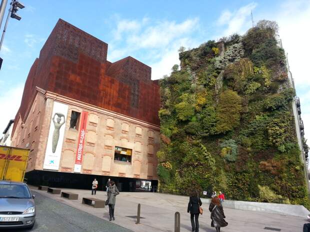 На сравнительно небольшой площади стены поместилось больше 12 тыс. растений (CaixaForum Madrid, Испания). | Фото: mundandy.com.