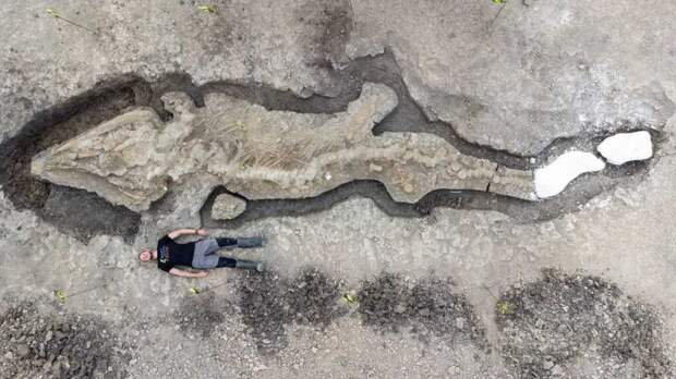 В Англии обнаружен скелет гигантского морского чудовища