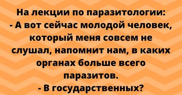 Подборка отборных шуточек и анекдотов