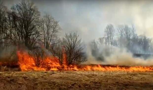 Пожар около реки Буй в Камбарском районе охватил площадь в 300 гектаров