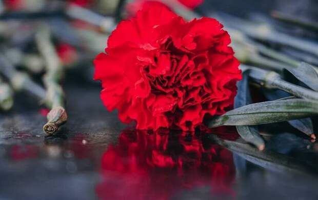 Более 100 адресов украсят в Петербурге ко Дню освобождения Ленинграда от блокады