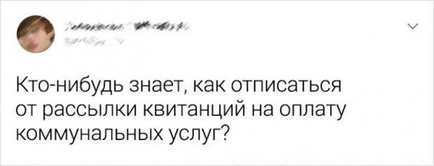 Подборка забавных твитов Подборка забавных твитов