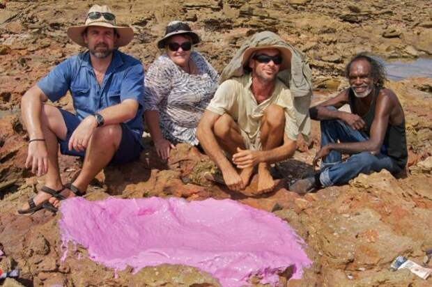В Австралии нашли свой "Парк Юрского периода" австралия, динозавр