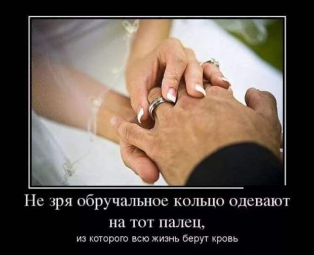Прикольные демотиваторы с надписями. Подборка chert-poberi-dem-chert-poberi-dem-35340324052020-7 картинка chert-poberi-dem-35340324052020-7