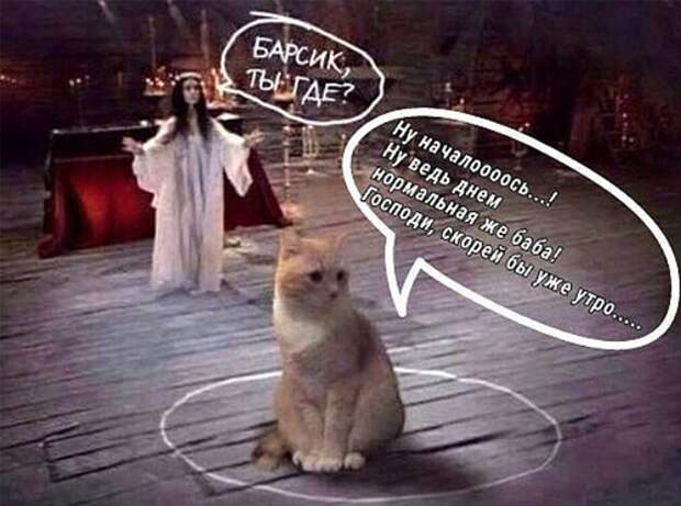 Поход в гипермаркет