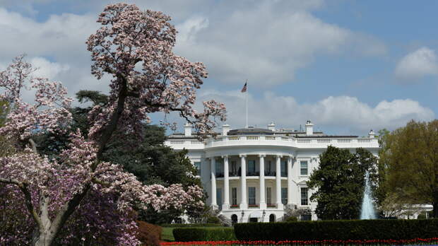 Распад и падение ценностей: что ждет США в 2026 году