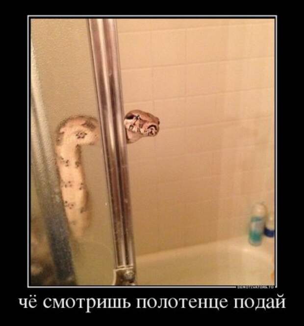 Демотиваторы, поприкольней из новых.