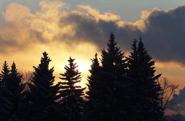 Перед выходными на Солнце могут произойти вспышки класса M