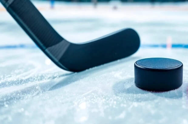 Никишин уложил на лед канадца и избил американца в матче НХЛ