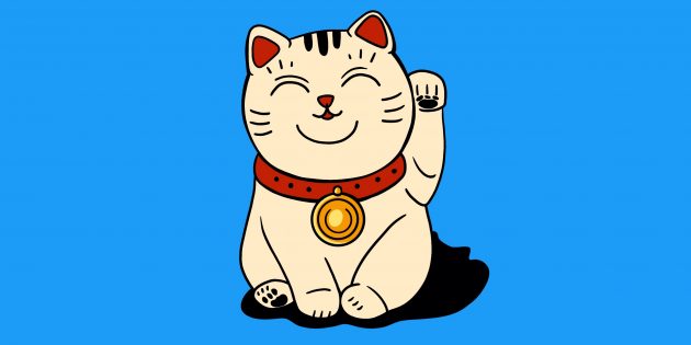 Задачи на логику: о котике