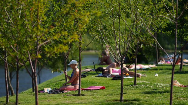 Жара и влажность: почему летом возрастает риск заразиться инфекциями