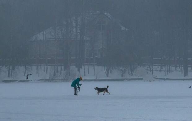 В Петербурге объявлен "жёлтый" уровень опасности