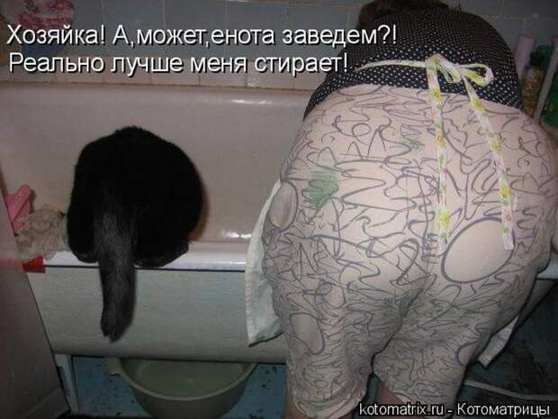 Кошатина да псятинка позитивная, этакая забавная, с надписями, очень много на выходные