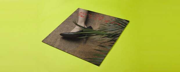 Iceage «Plowing into the Field of Love»