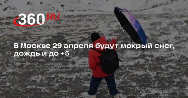 В Москве 29 апреля будут мокрый снег, дождь и до +5