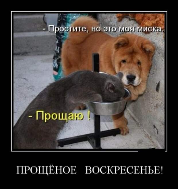 Демотиваторы, "hands made", так сказать..