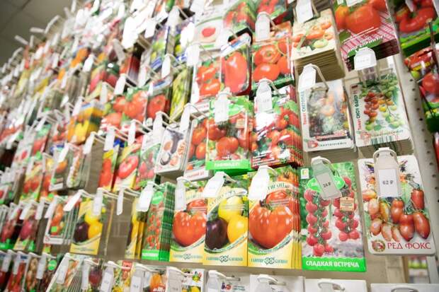 В Тульской области выявили продажу сомнительных семян томатов и перца