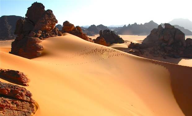 Как изменилась Сахара за последние тысячи лет