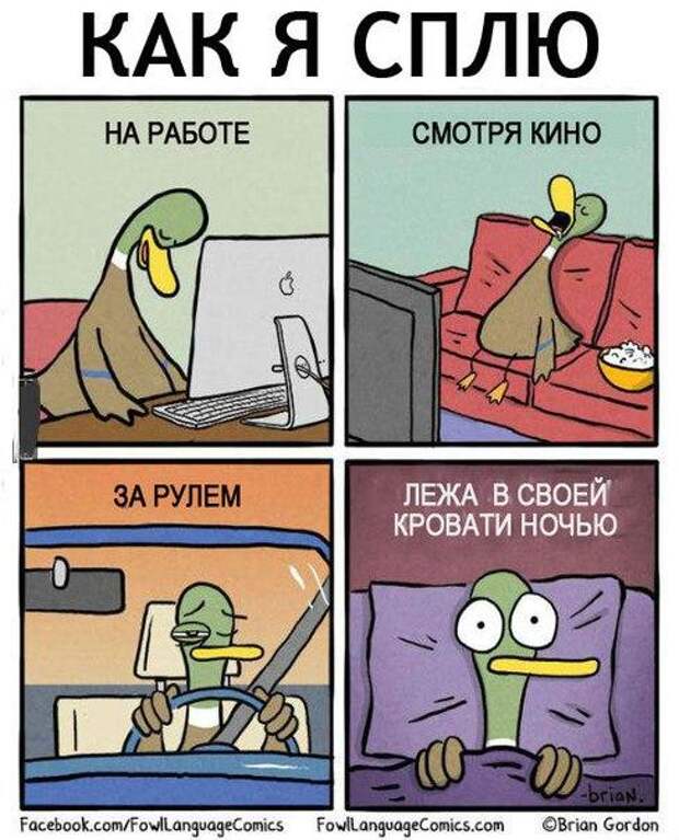 Смешные картинки как проходит день