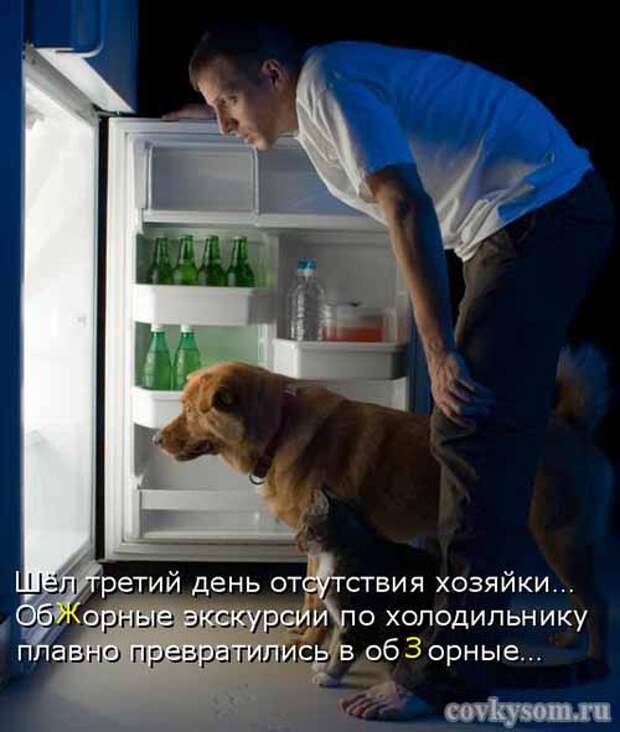 Кулинарный юмор