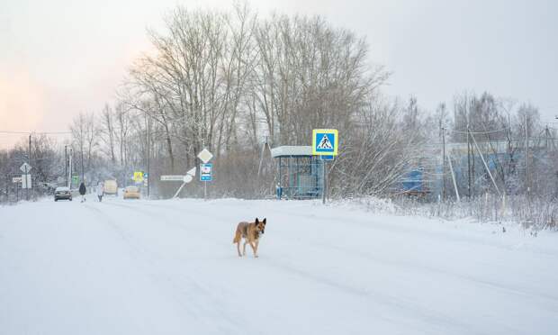 Всё еще холодно. Морозы не покидают Архангельскую область