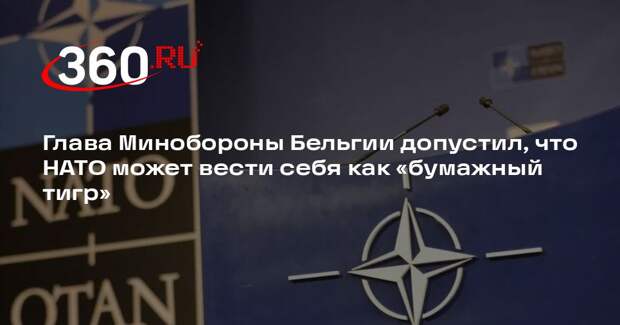 Глава Минобороны Бельгии допустил, что НАТО может вести себя как «бумажный тигр»