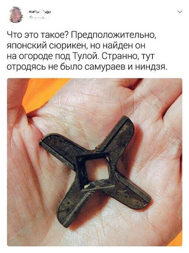 Смешные и познавательные картинки