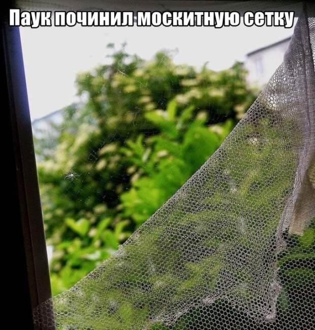 Подборка картинок. Дневной выпуск (25 фото)