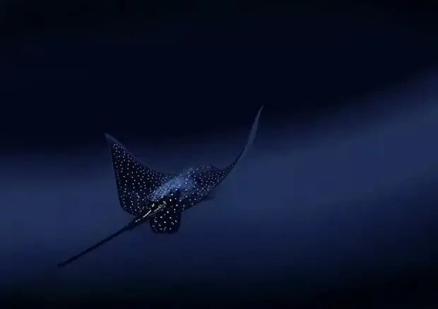 12 лучших кадров с фотоконкурса National Geographic Traveller Photography 