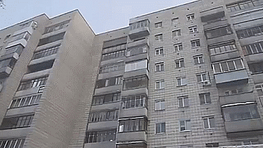 20 гифок о том, как устроено все на свете