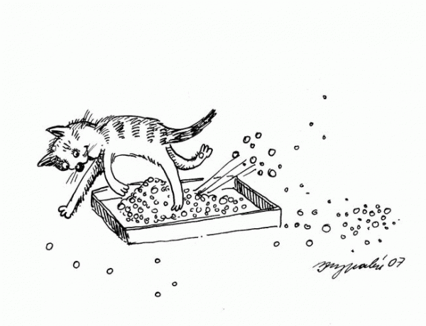 Правила хорошего кота коте, коты, котэ