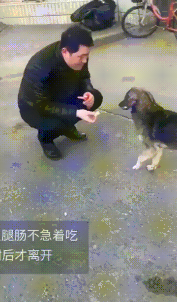 Благодарность