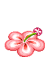 74c928be987cd246bbf6ba6a95d92f55 (75x83, 12Kb)