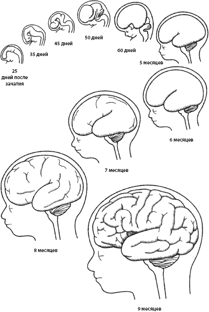 http://helpiks.org/helpiksorg/baza6/892730189723.files/image005.gif