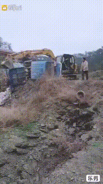 Да ну вас всех... Да ну вас всех...