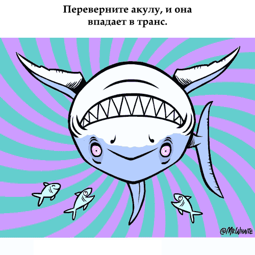 gifkah-zoologiya-zanimatelnaya-eto-interesno-poznavatelno-kartinki gifkah-zoologiya-zanimatelnaya-eto-interesno-poznavatelno-kartinki
