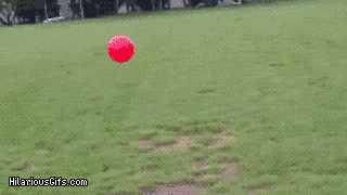 Подборка прикольных Гифок №504 (20 гифок)