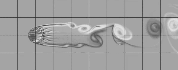 В потоке. Как губка проживает на дне океана