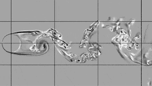 В потоке. Как губка проживает на дне океана