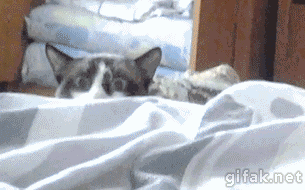 0_c3445_e6a5bb56_L (305x190, 2504Kb)