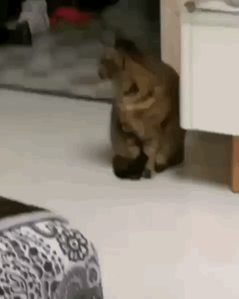 Это ты на кого пальцем тычешь? Это ты на кого пальцем тычешь?