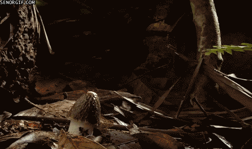 Классные гифки (25 гифок) Классные гифки (25 гифок)